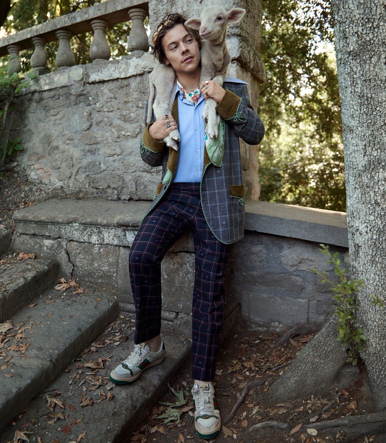 Harry Styles berpose dengan Baby Animals di Iklan Terbaru Gucci