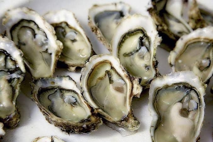 Resep Oriental Ho Saus Tiram Masakan Gurih Manis Ala Hong Kong