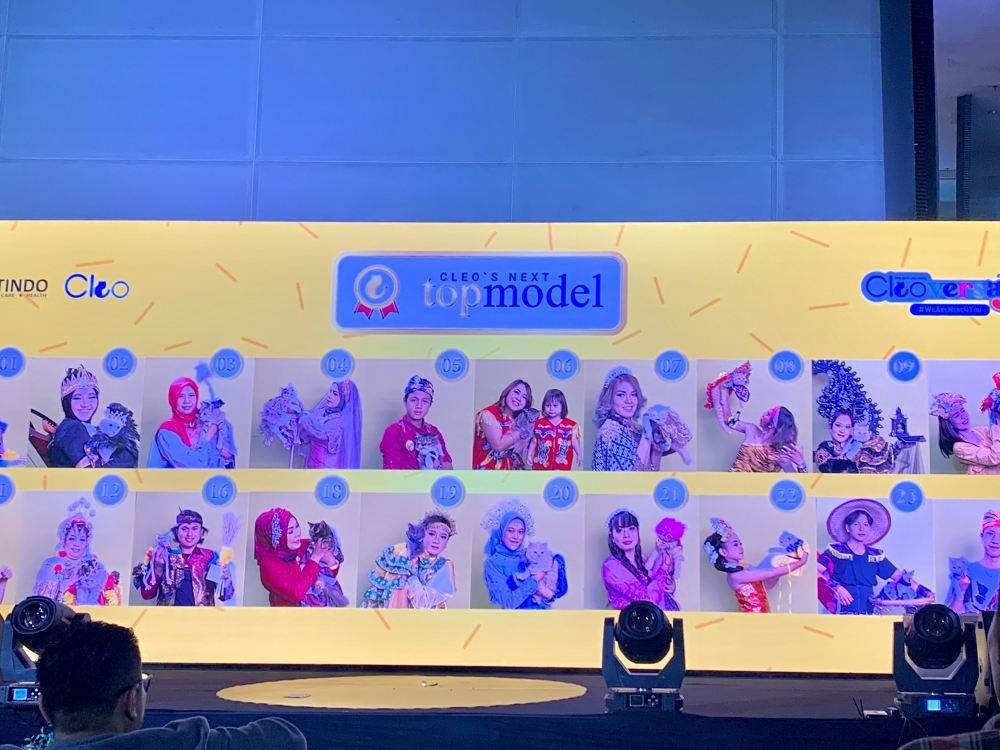 Tampilkan Kekompakan Antara Kucing dan Pemiliknya Lewat Fashion Show